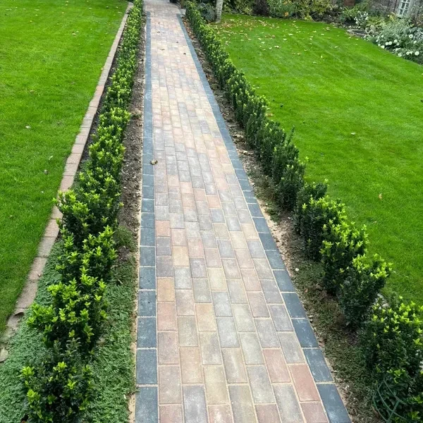 Block paved garden path between hedges