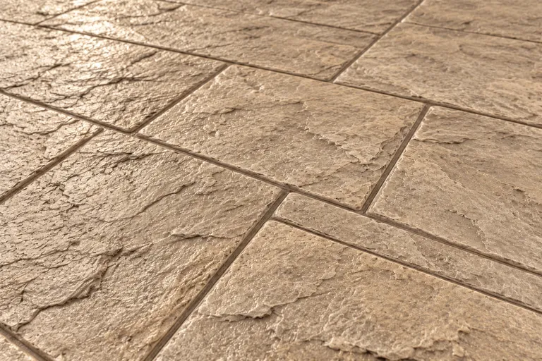 Biscuit, illustration of imprinted concrete